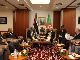 Transports: Un accord aérien ouvre une nouvelle étape du partenariat algéro-mozambicain
