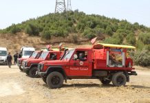 Annaba-Seraïdi sous les flammes: La Protection Civile et l’ANP mobilisées pour circonscrire l’incendie
