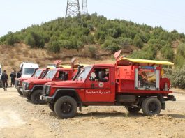 Annaba-Seraïdi sous les flammes: La Protection Civile et l’ANP mobilisées pour circonscrire l’incendie
