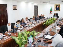 Énergie, gaz et coopération régionale: Adjal accélère les projets avec le Tchad et le Niger