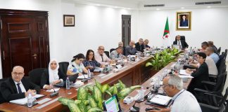 Énergie, gaz et coopération régionale: Adjal accélère les projets avec le Tchad et le Niger