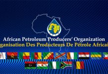 L’APPO fixe ses priorités stratégiques: Cap sur la souveraineté énergétique de l’Afrique