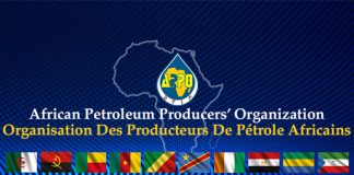L’APPO fixe ses priorités stratégiques: Cap sur la souveraineté énergétique de l’Afrique