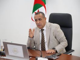 Énergie: Adjal ordonne l’accélération des dossiers de partenariat avec le Niger et la Côte d’Ivoire