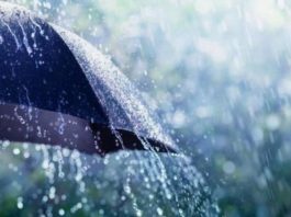 Pluies orageuses et tempêtes de sable attendues dimanche et lundi dans plusieurs wilayas du pays