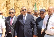 Extension du port phosphatier d’Annaba: Le quai minéralier prend forme
