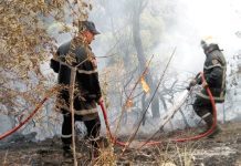 Prévention des feux de forêts et des récoltes agricoles: Mascara renforce son dispositif de lutte contre les incendies