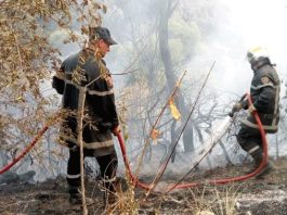 Prévention des feux de forêts et des récoltes agricoles: Mascara renforce son dispositif de lutte contre les incendies