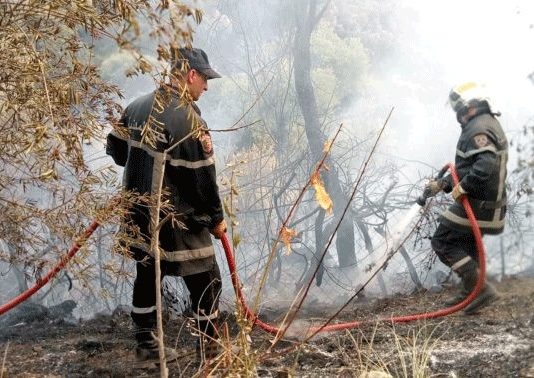 Prévention des feux de forêts et des récoltes agricoles: Mascara renforce son dispositif de lutte contre les incendies