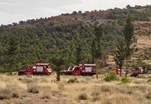 Incendies de forêt à Batna et Béjaïa: Quatre avions AT-802 engagés dans la lutte contre les flammes
