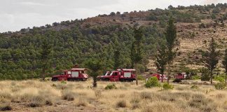 Incendies de forêt à Batna et Béjaïa: Quatre avions AT-802 engagés dans la lutte contre les flammes