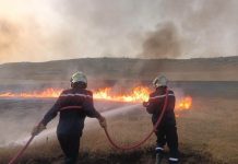 Feux de végétation à travers le pays: 37 incendies toujours actifs, des familles évacuées