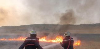 Feux de végétation à travers le pays: 37 incendies toujours actifs, des familles évacuées