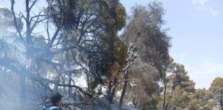 Lutte contre les feux de végétation: 30 incendies maîtrisés sur 43 en 24 heures