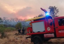 Protection civile: Extinction de 18 incendies sur 19 au cours des dernières 24 heures