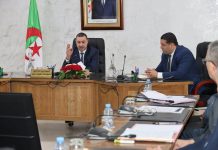 Immatriculation:Sayoud exige des correctifs rapides