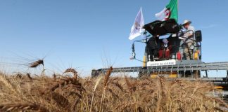 Algérie-Italie: Eni rejoint le projet agro-industriel de 420 millions d’euros à Timimoun