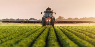 Agriculture: 15 entreprises italiennes attendues à Alger pour l’innovation agricole
