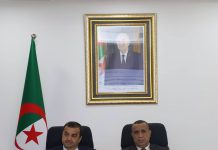 Rationalisation de la consommation énergétique: Arkab et Adjal coordonnent la gestion de la demande en gaz