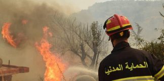 Feux de forêt: 118 incendies maîtrisés sur 123
