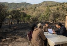 Prise en charge des victimes des incendies de juillet: Les indemnisations démarrent à Tizi Ouzou et El Tarf