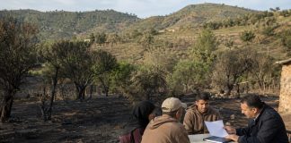 Prise en charge des victimes des incendies de juillet: Les indemnisations démarrent à Tizi Ouzou et El Tarf
