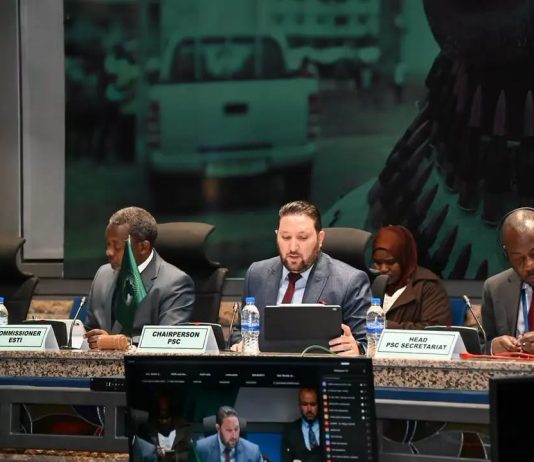 Conseil de paix et de sécurité de l’Union africaine: L’Algérie place les droits humains au cœur de la paix