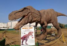 Oran: Le parc des dinosaures du Village méditerranéen fait rugir l’été et séduit les familles