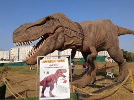 Oran: Le parc des dinosaures du Village méditerranéen fait rugir l’été et séduit les familles