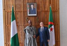 Algérie-Nigeria: Les projets transsahariens au cœur du partenariat