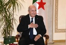 Pour leurs exploits historiques: Le président de la République félicite l’EN féminine de football et le champion du monde en judo Younes Ayachi