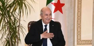 Pour leurs exploits historiques: Le président de la République félicite l’EN féminine de football et le champion du monde en judo Younes Ayachi