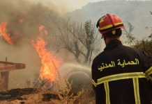 Feux de végétation à travers le pays: 97 incendies recensés, 29 toujours actifs