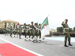 L’ANP célèbre aujourd’hui sa journée nationale: Une armée professionnelle, prête à tous les défis