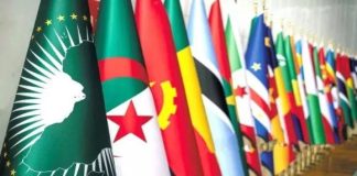 Paix, démocratie et droits de l’Homme: L’Algérie plaide pour une action africaine unifiée