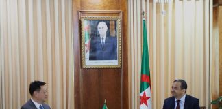 Algérie-Chine: Des facteurs clés pour la réussite des partenariats en commun