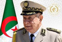 Le général d’armée Said Chanegriha adresse ses félicitations