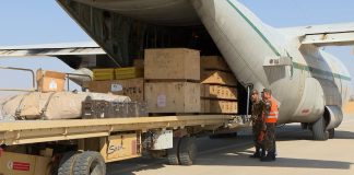 Algérie – Niger: Vers une alliance sécuritaire et militaire renforcée