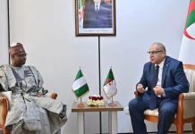 Gazoduc transsaharien (TSGP): Accélération des échanges diplomatiques entre l’Algérie et le Nigeria