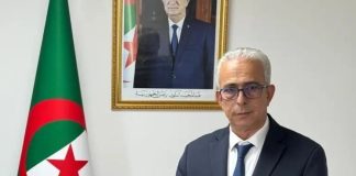 Coopération minière: L’Algérie et la Namibie examinent de nouvelles perspectives
