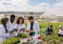Agriculture – Culture tissulaire: L’Algérie adopte la technique italienne