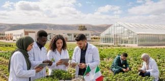 Agriculture – Culture tissulaire: L’Algérie adopte la technique italienne