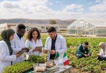 Partenariat stratégique: L’Algérie, l’UE et l’Italie s’unissent pour booster l’agriculture