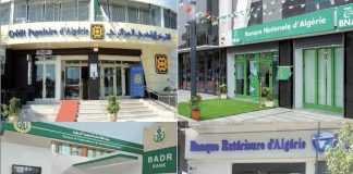 Crédit à la consommation: Les banques appelées à financer prioritairement les produits «Made in Algeria»