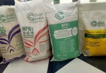Engrais: 245 000 tonnes d’urée algérienne exportée vers l’Inde