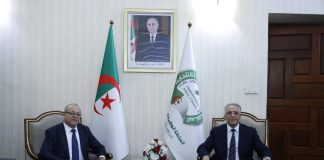 Élections locales du 28 novembre: L’ANIE et le ministère de la Communication coordonnent la couverture médiatique