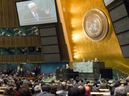 L’Assemblée générale de l’ONU autorise la Palestine à participer à distance à sa 81e session