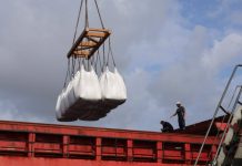 Exportations hors hydrocarbures vers l’Italie et la Libye: Skikda expédie près de 19 000 tonnes de ciment et de clinker