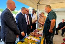 5ᵉ Salon national du raisin à Boumerdès: Plus de 50 exposants pour dynamiser la filière viticole