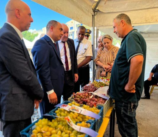 5ᵉ Salon national du raisin à Boumerdès: Plus de 50 exposants pour dynamiser la filière viticole